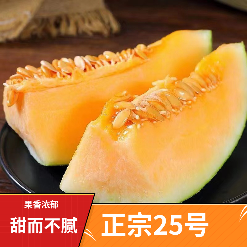海南晓蜜25号哈密瓜特甜对接全国批发市场电商平台