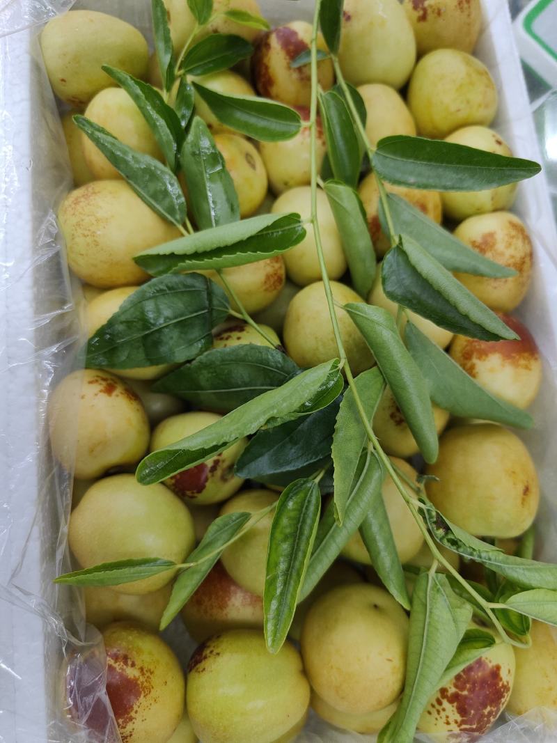 大荔冬枣