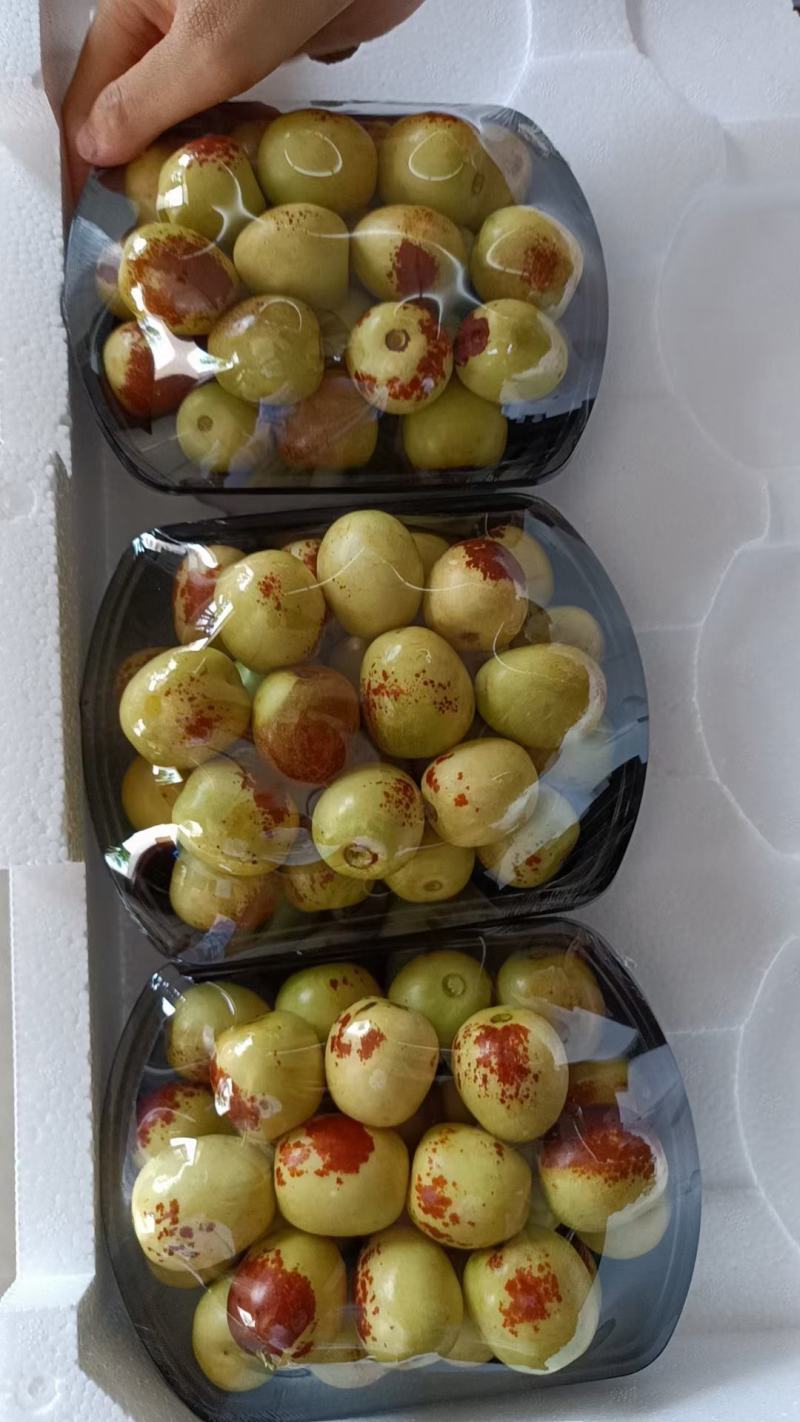 大荔冬枣