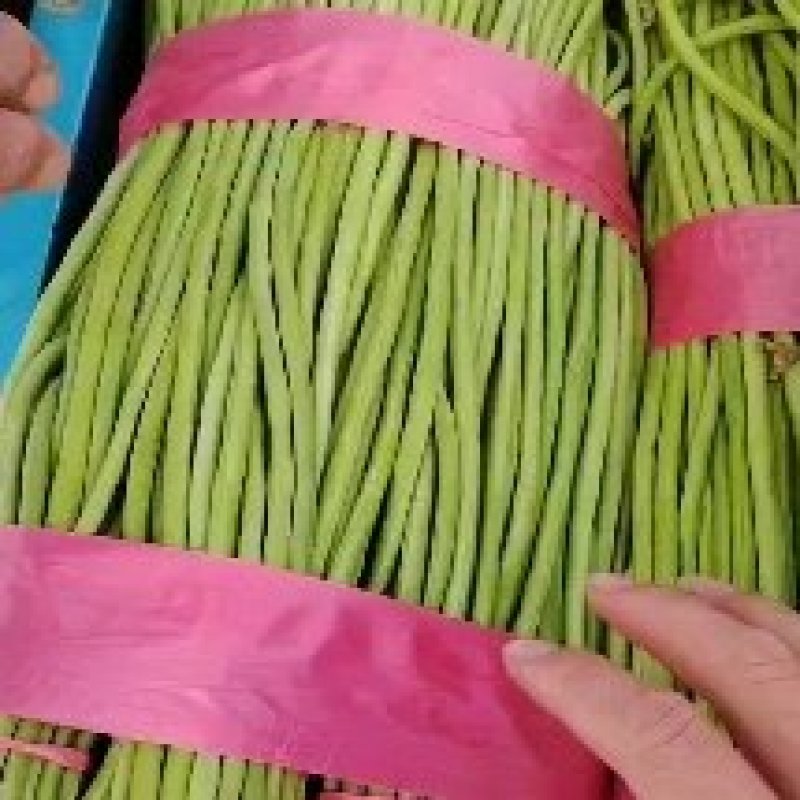 长豆角酱菜厂市场大量供应需要可以联系