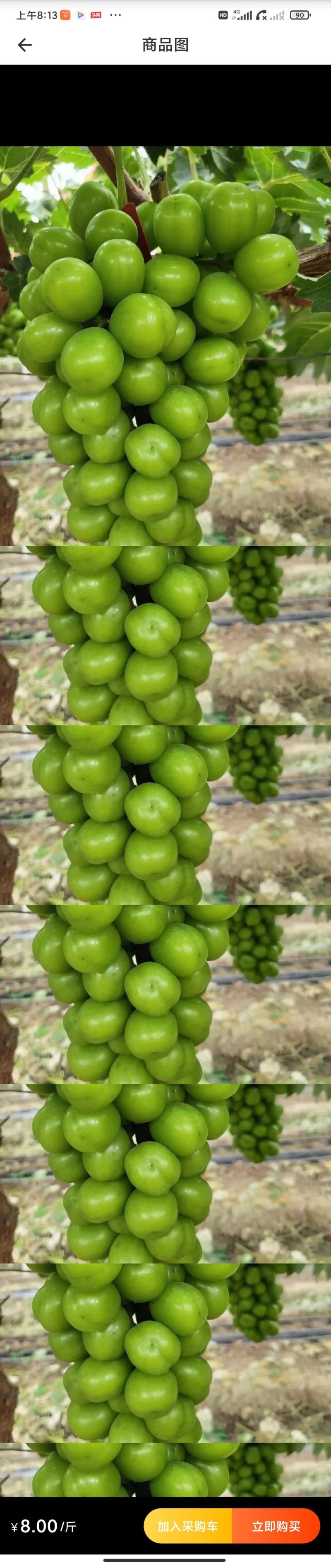 阳光玖瑰