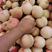 白花桃离核桃脆红沙个头大口感甜对接批发商超市电商采购
