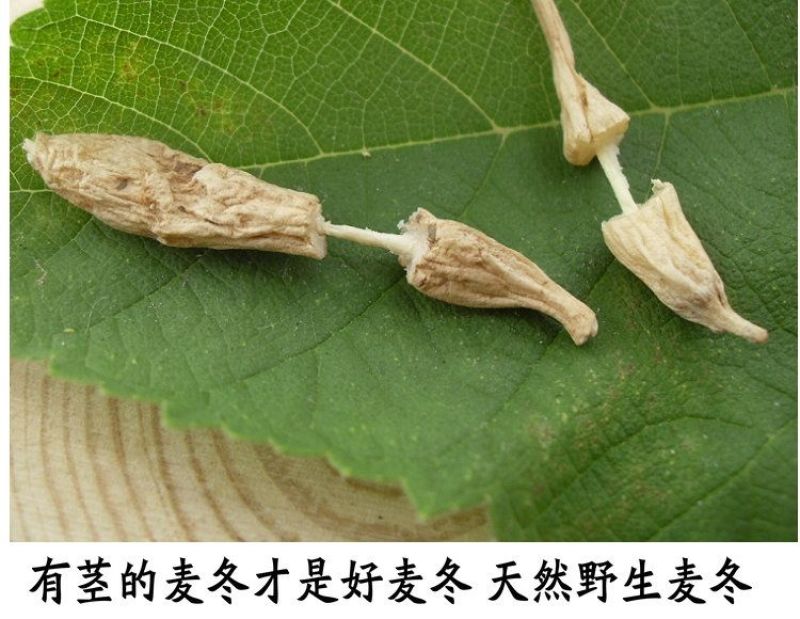 神农架野生麦冬5OO克***无硫中药材可配王竹泡水麦冬喝