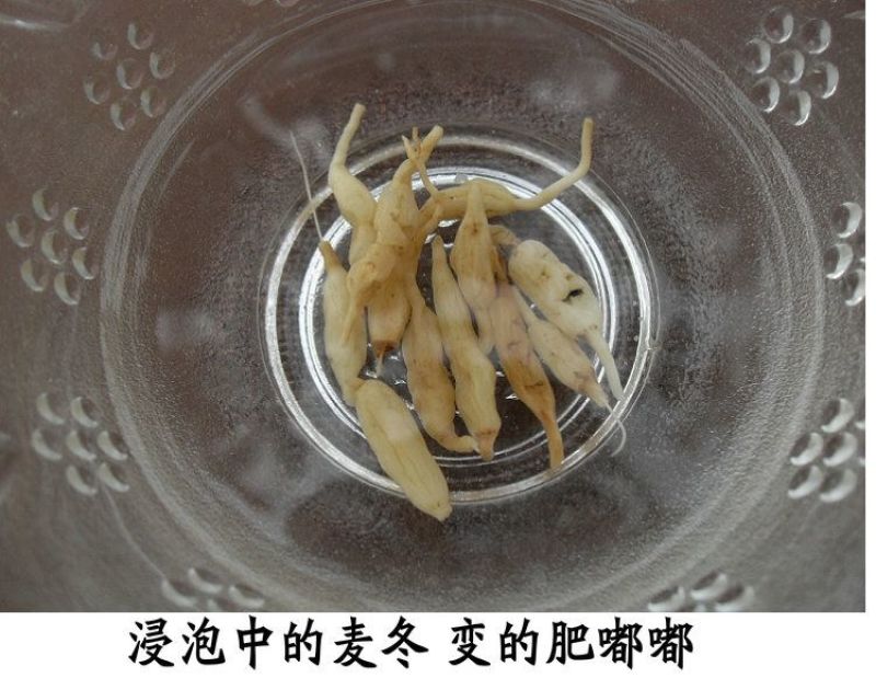 神农架野生麦冬5OO克***无硫中药材可配王竹泡水麦冬喝