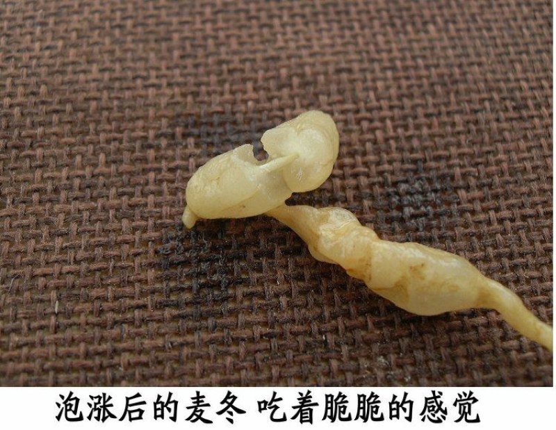 神农架野生麦冬5OO克***无硫中药材可配王竹泡水麦冬喝