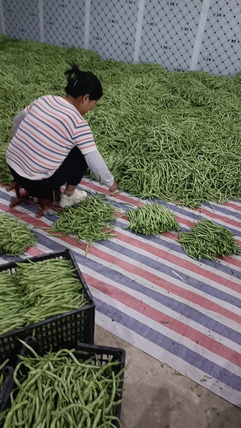 无筋豆大量有货，需要的老板联系，一手货源