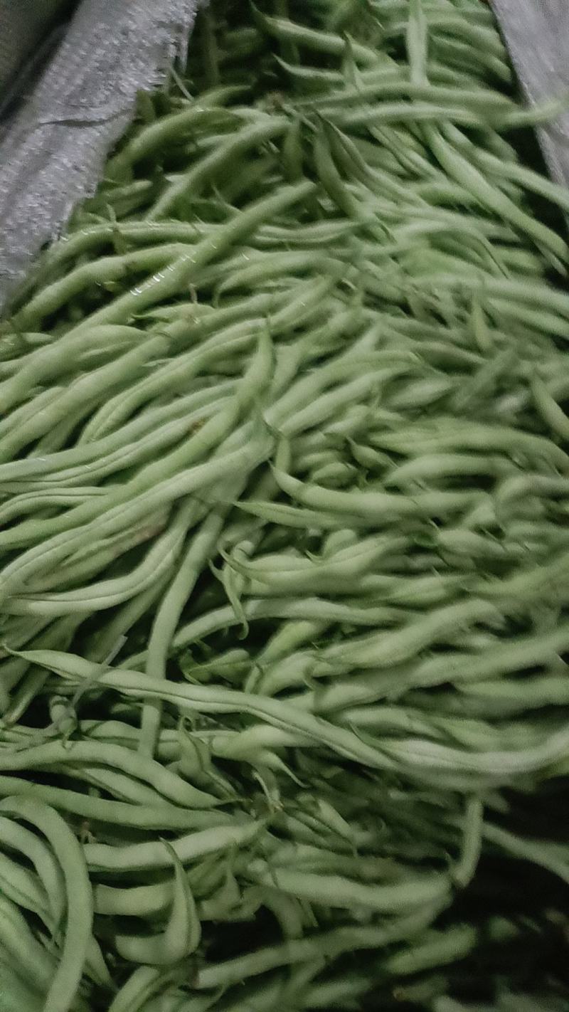 无筋豆大量有货，需要的老板联系，一手货源