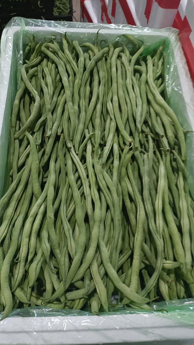 无筋豆大量有货，需要的老板联系，一手货源