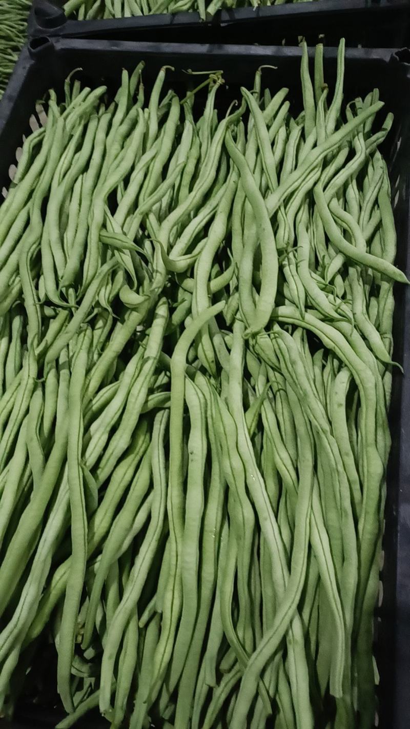 无筋豆大量有货，需要的老板联系，一手货源