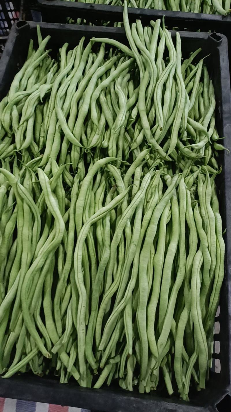 无筋豆大量有货，需要的老板联系，一手货源
