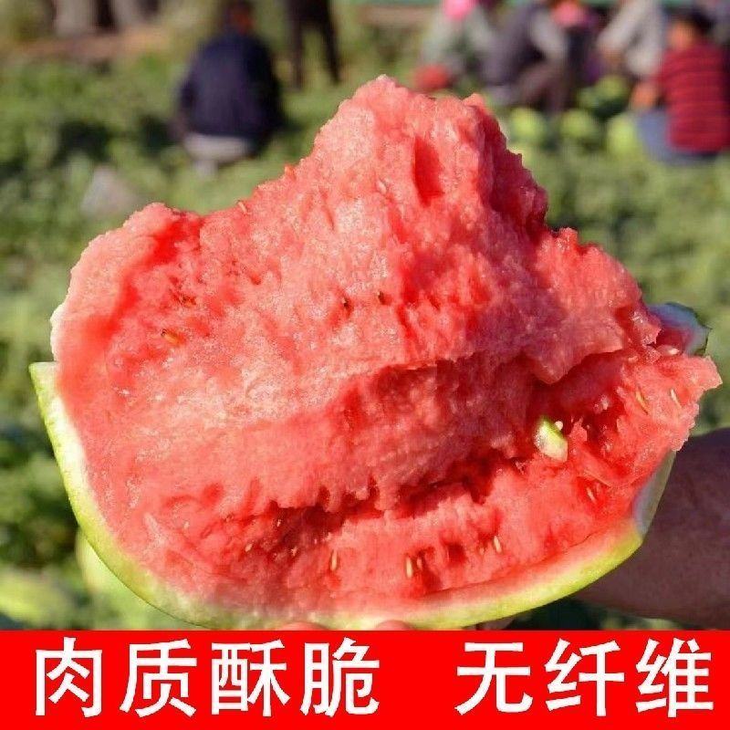 大棚西瓜甜王西瓜双星西瓜2k西瓜京欣西瓜全国总代发