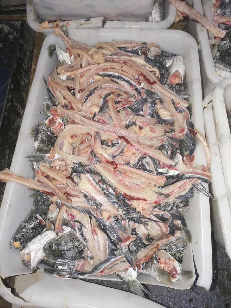 【精选】安徽鱼下脚料新鲜厂家直发品质有保障常年供应欢迎咨询