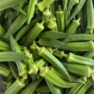 黄秋葵