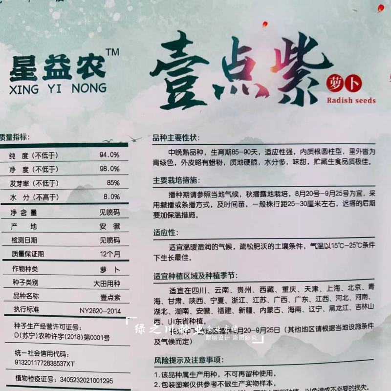 紫芽青萝卜种子壹点紫水果萝卜种子里外青萝卜种籽味甜水分多