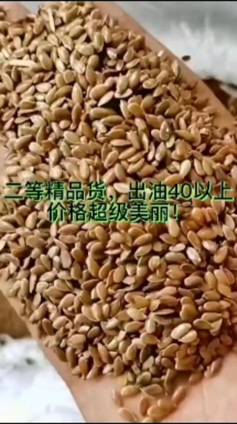 进口俄罗斯亚麻籽颗粒饱满价格合理优惠全国发货