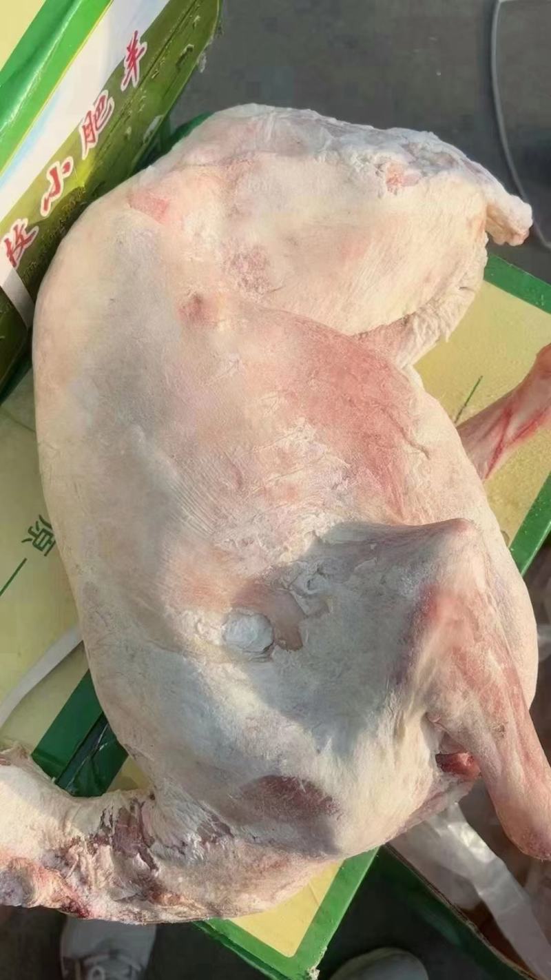 窝冻烤全羊，现货一吨18一斤