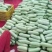 陕西省咸阳市淳化县铁王镇西葫芦成熟了，产地直发，价格优惠