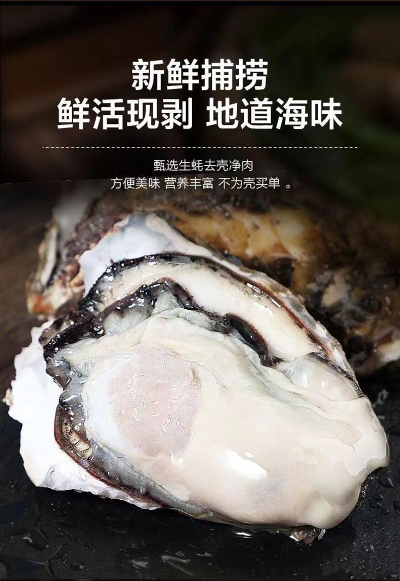 新鲜冷冻生蚝肉一包一斤去壳海蛎子肉牡蛎肉火锅食材烧烤海鲜