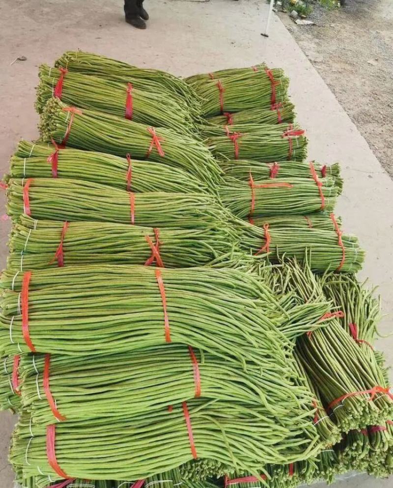 青条豆角/白条豆角豇豆安徽豆角商超社团供货代收代加工