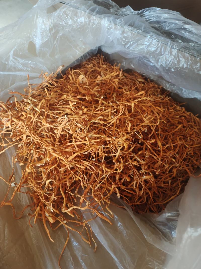 内蒙产地货源虫草花金虫草北虫草子实体煲汤新鲜食材