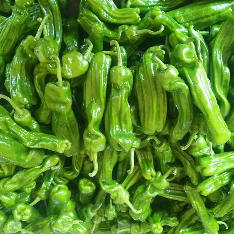 薄皮椒安徽薄皮辣椒代收代发代加工货源足质量好