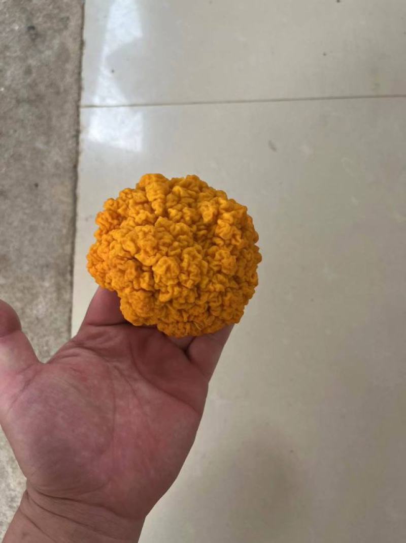 云南金耳鲜品
