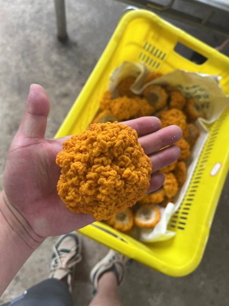 云南金耳鲜品