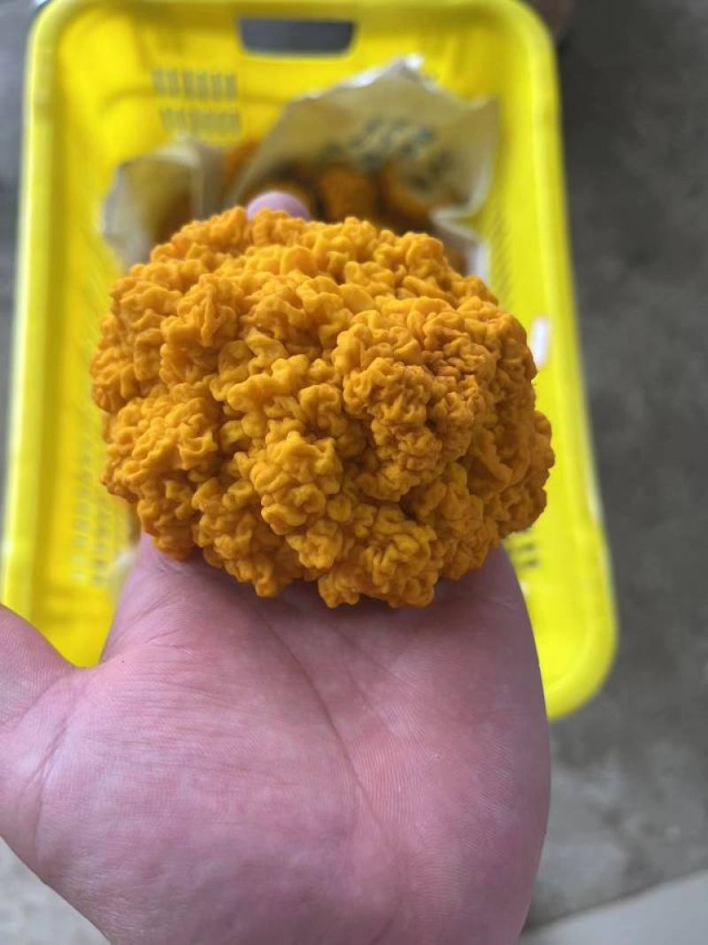 云南金耳鲜品
