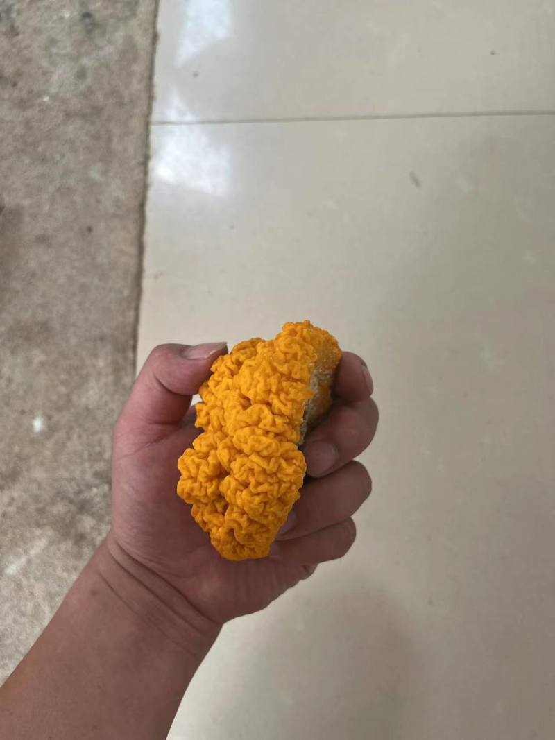 云南金耳鲜品