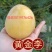 【九峰山黄金奈李】光照足[太阳]温差大，深山种植，无污