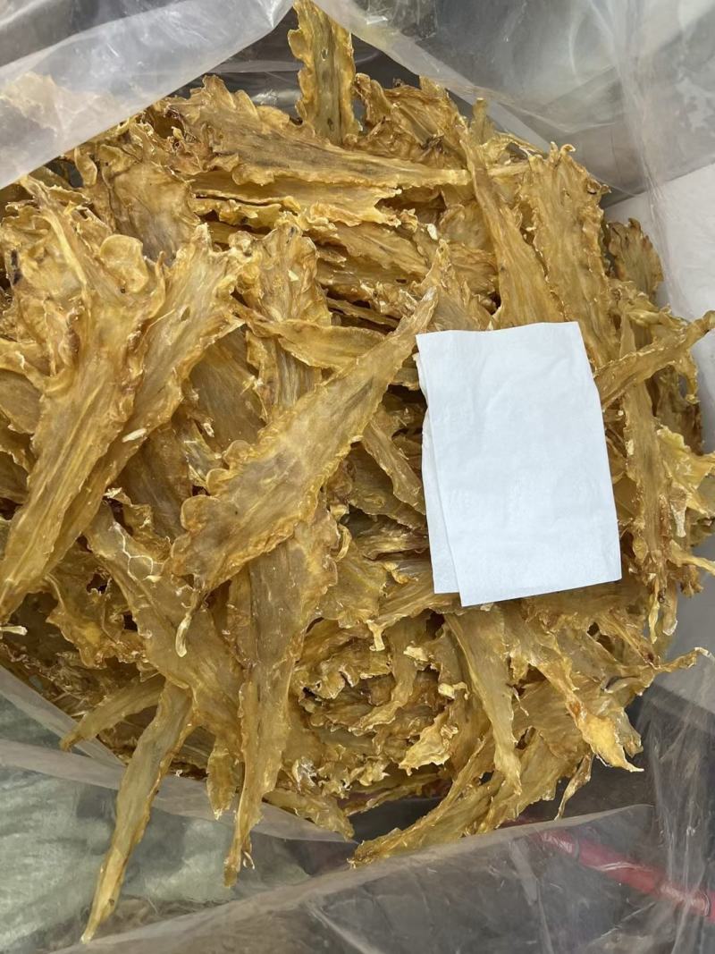 55头鳕鱼胶足干货欢迎选购量大从优