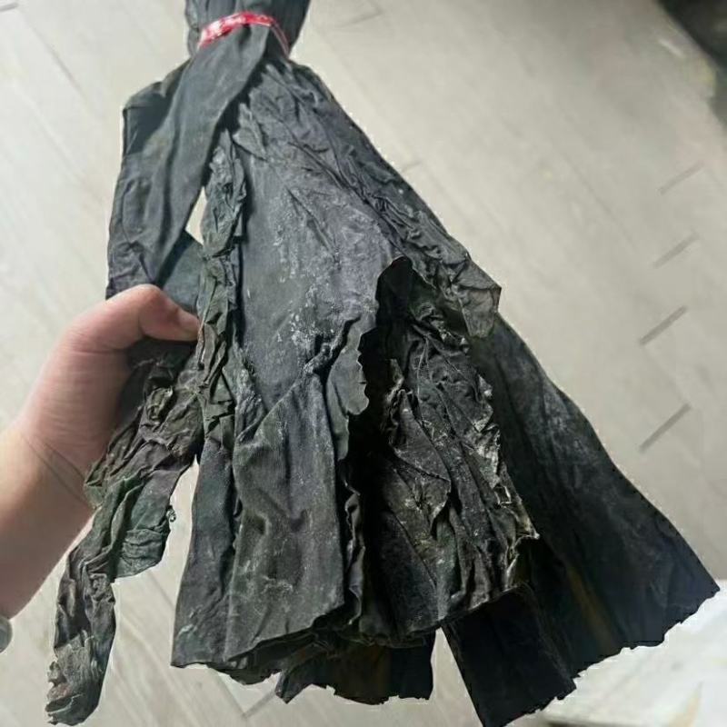 海带头干货批发火锅凉拌食材无沙特厚海带头