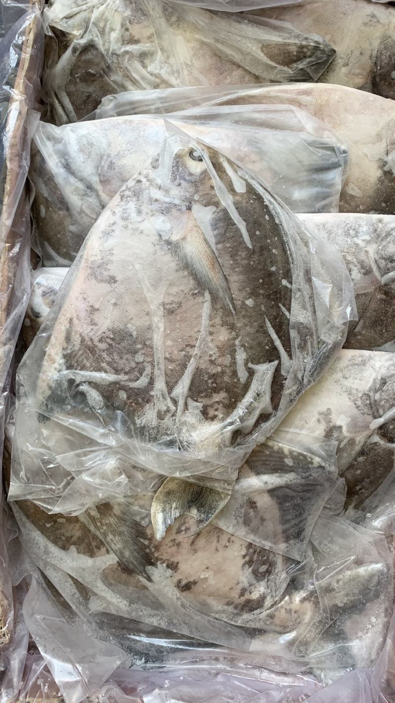 斗鲳批发鹰鲳批发