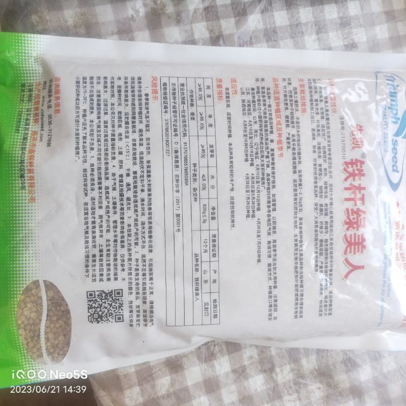 中叶铁杆香菜种子
