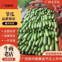 【推荐】柳州市鹿寨县毛节瓜，一手货源，供应市场商超团购
