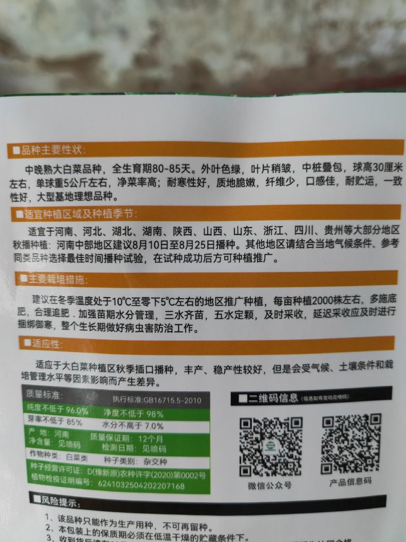 秋雅早熟白菜种子60天可采收上市早冬丽黄心白菜种子