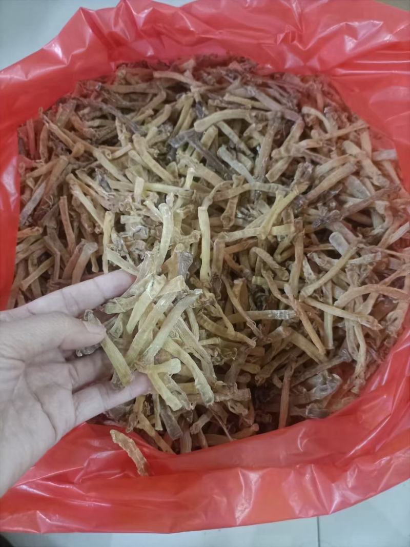 东兴小沙虫