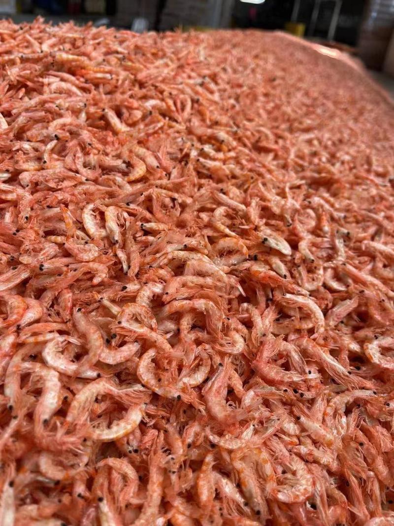 新货大号淡干虾皮南极磷虾虾米海米虾干虾皮海鲜干货即食补钙