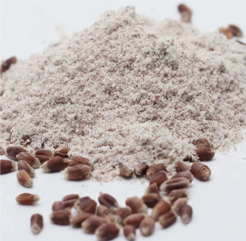 黑麦全麦面粉就是用当季优质黑小麦含麸皮碾磨而成