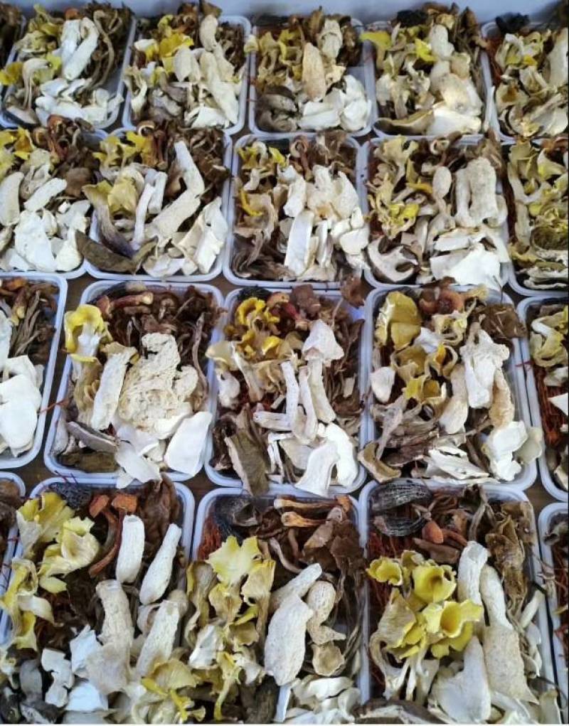 七彩菌汤包批发云南土特产羊肚菌竹荪菌菇汤包干货