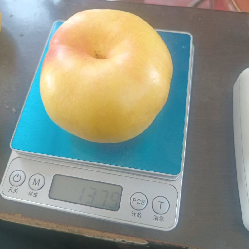 黄油蟠桃，黄油桃