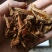 新货蜜炙桑白皮炙桑白皮桑根白皮制桑皮500克包邮2