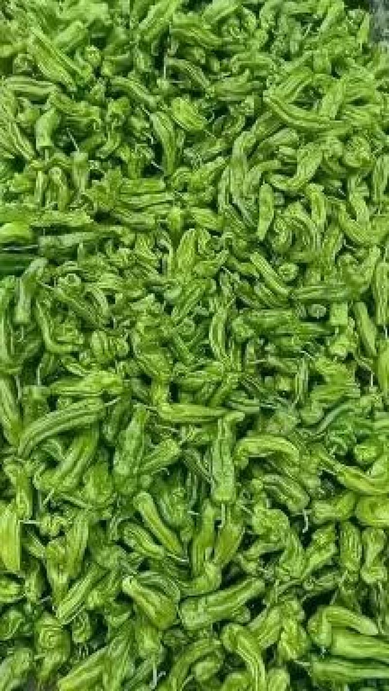 山东省兰陵县，精品芜湖辣椒，量非常大，价格非常便宜，