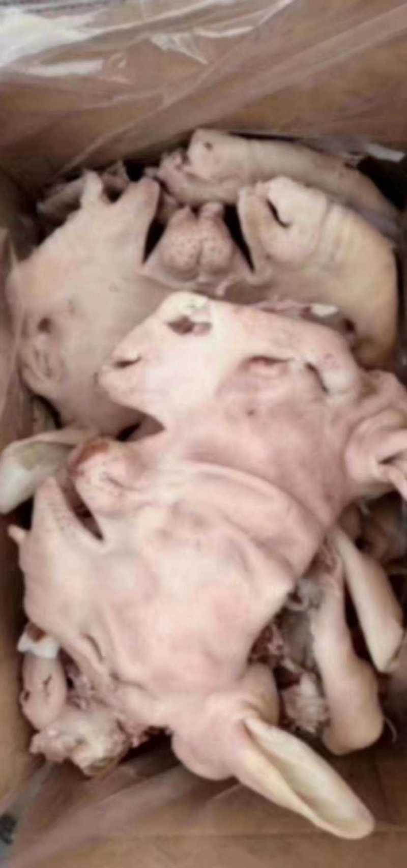 大白羊头肉