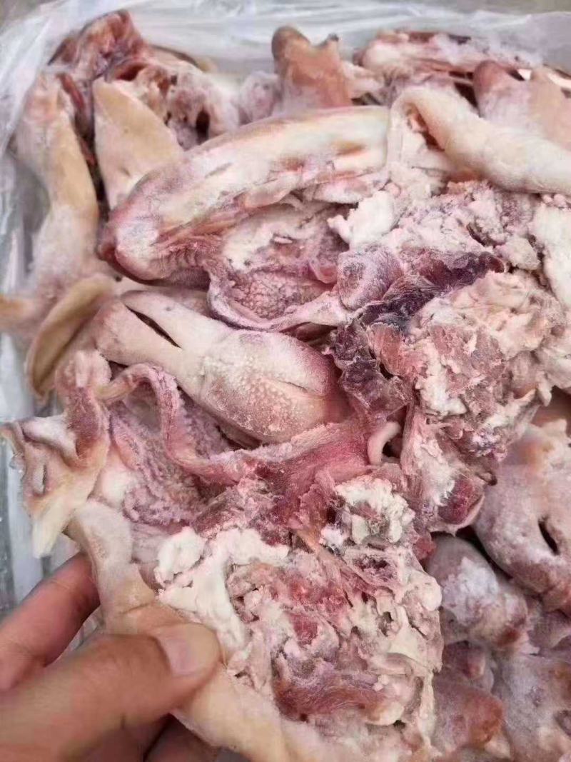 大白羊头肉
