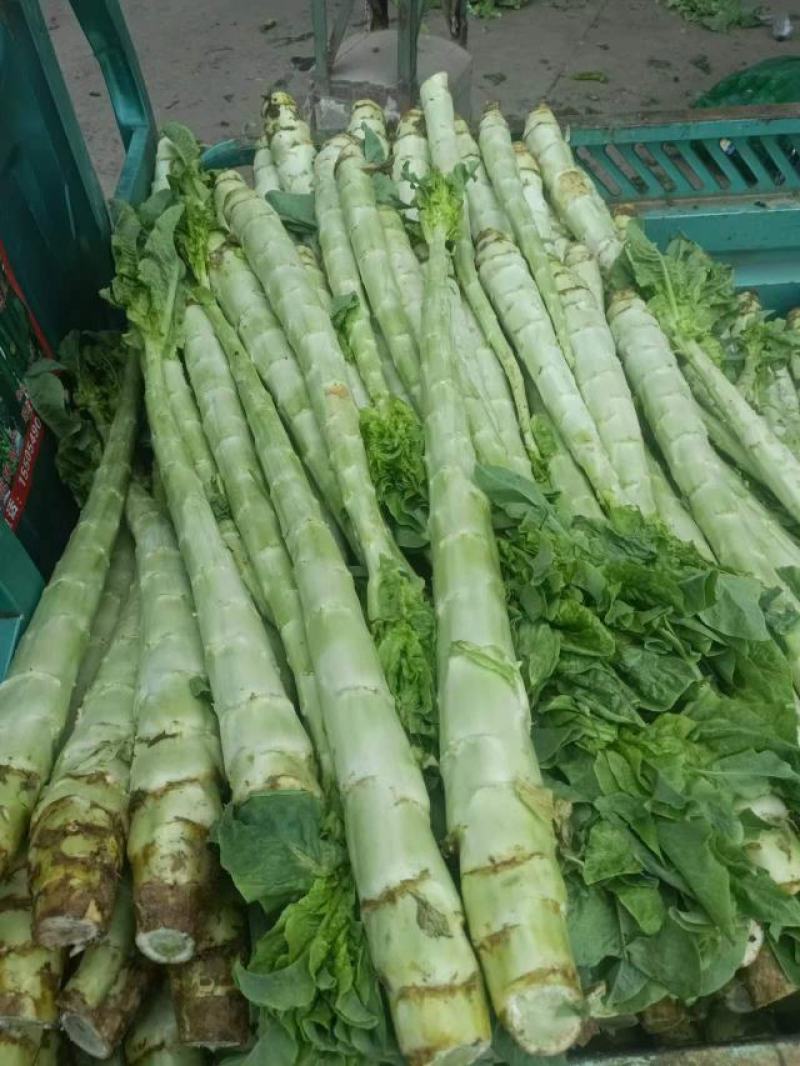 山东兰陵，精品莴笋干子，大量有货，价格非常便宜，保质保量