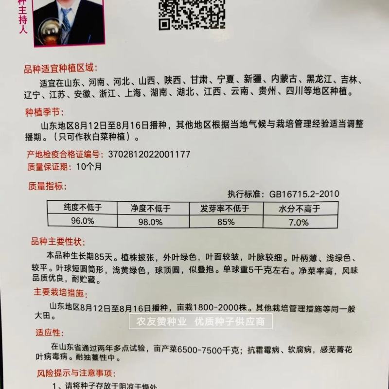 义和秋帅大白菜种子山东秋白菜种子蔬菜基地专用结球白菜种子