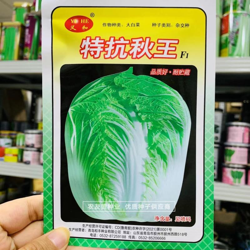 义和秋帅大白菜种子山东秋白菜种子蔬菜基地专用结球白菜种子