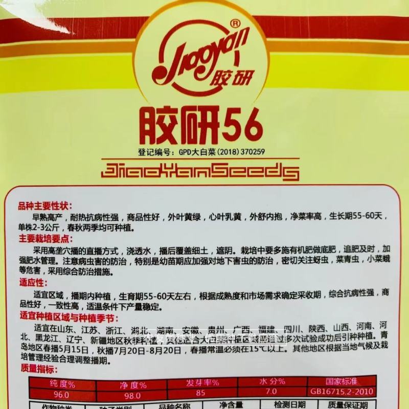 心叶乳黄小杂56白菜种子早熟高产春秋两季黄心大白菜种子