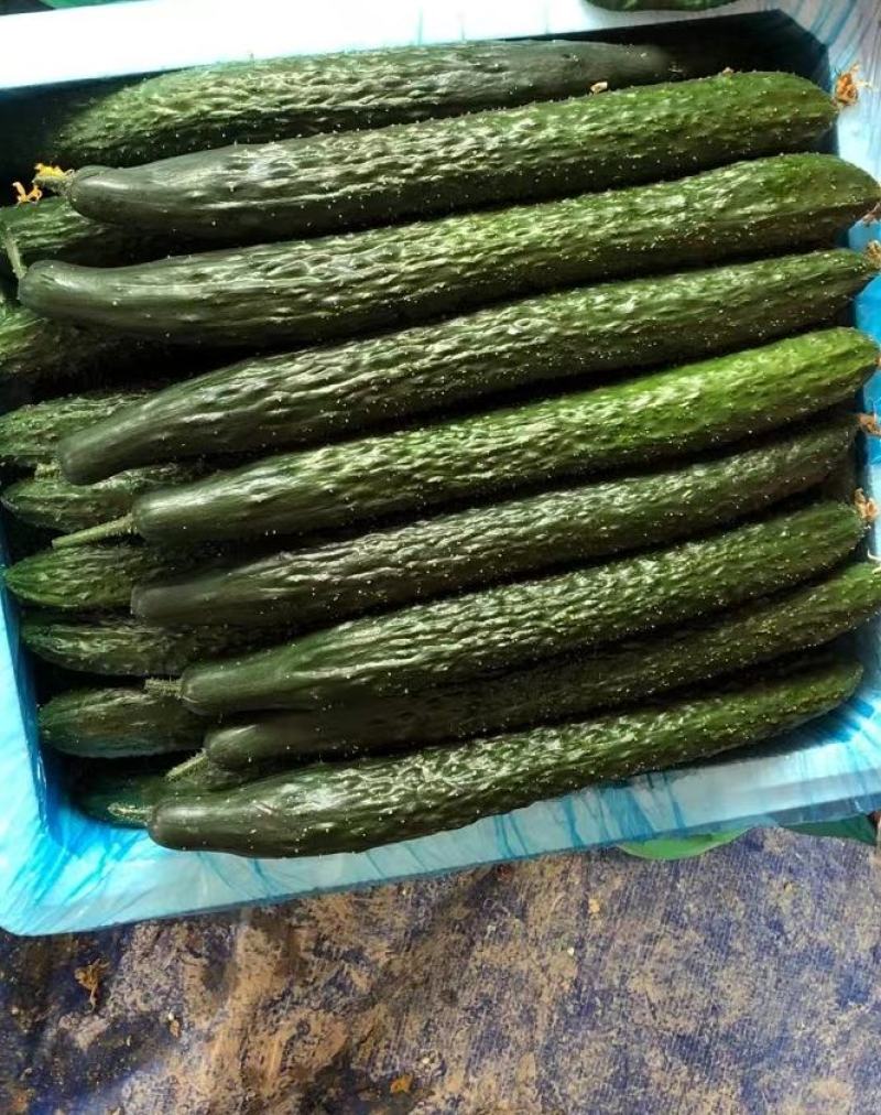 精品黄瓜